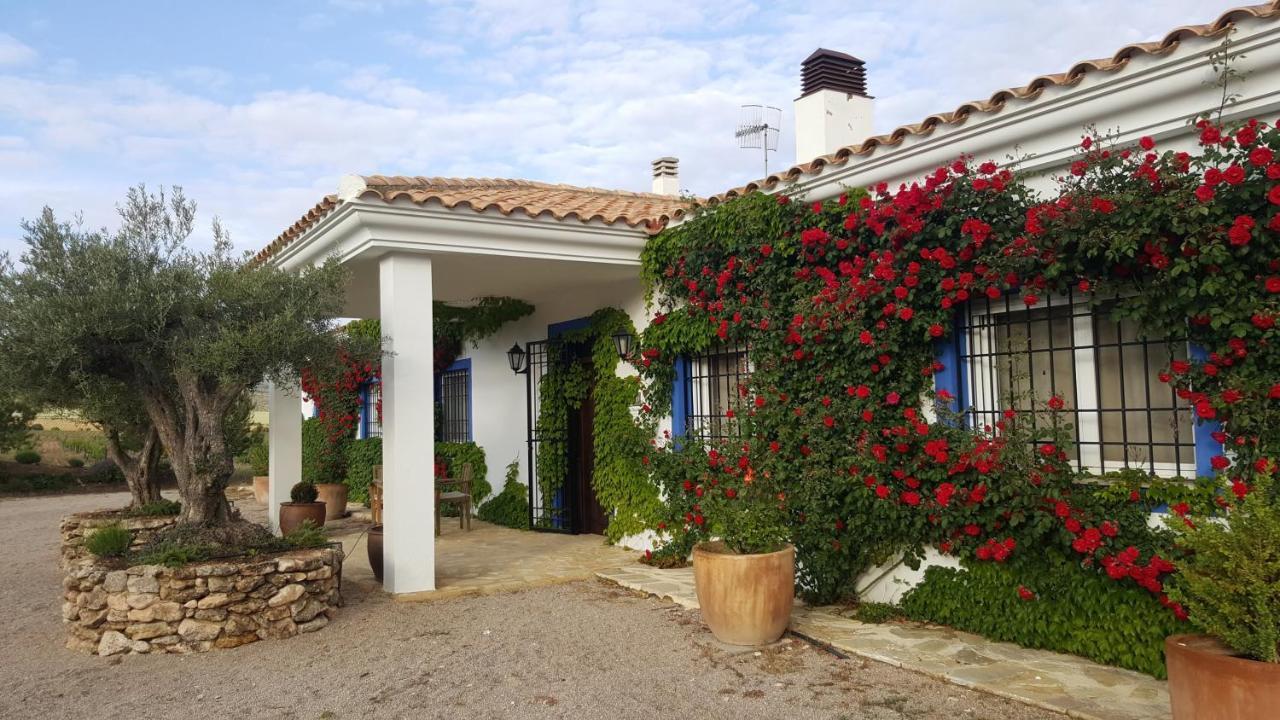 Finca El Romeral Alpera Екстер'єр фото
