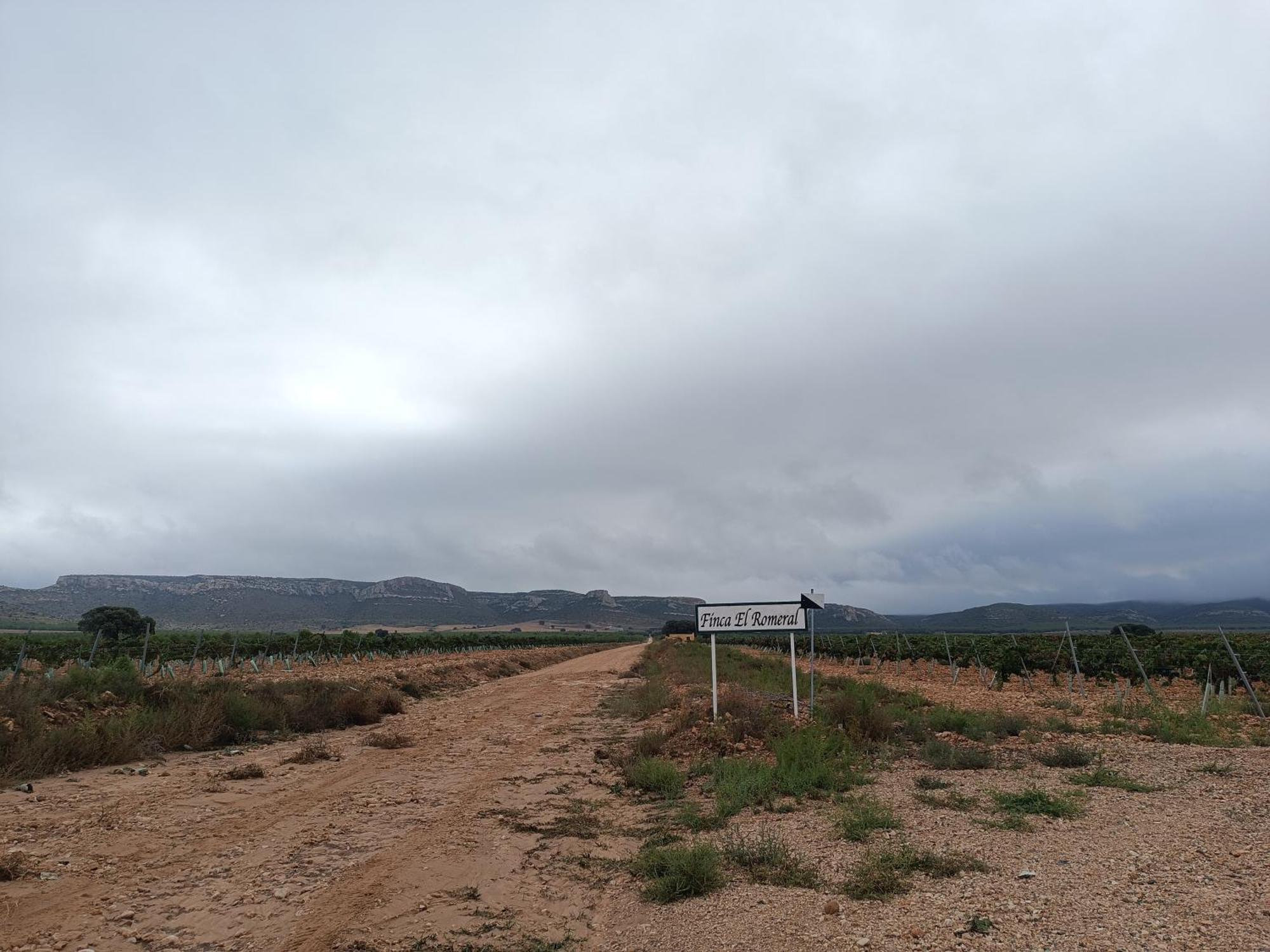 Finca El Romeral Alpera Екстер'єр фото
