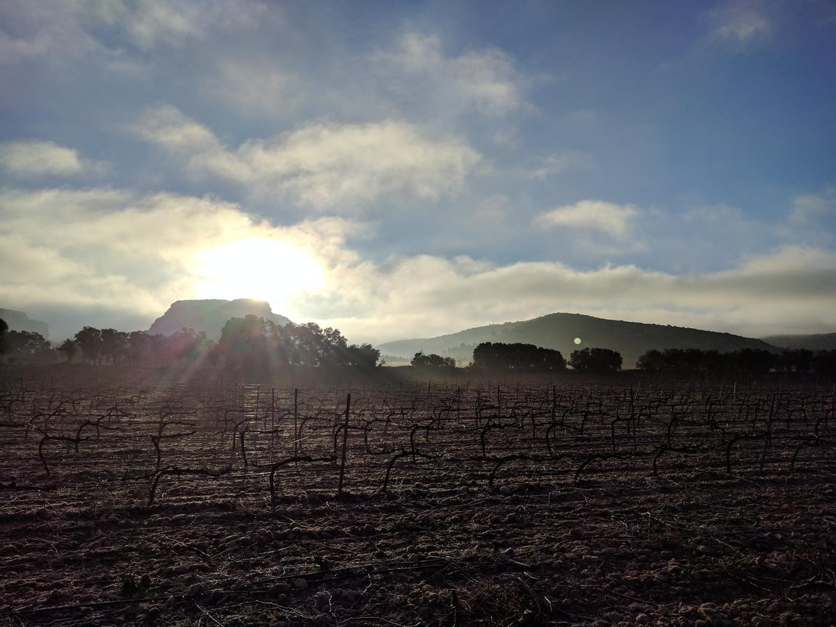 Finca El Romeral Alpera Екстер'єр фото