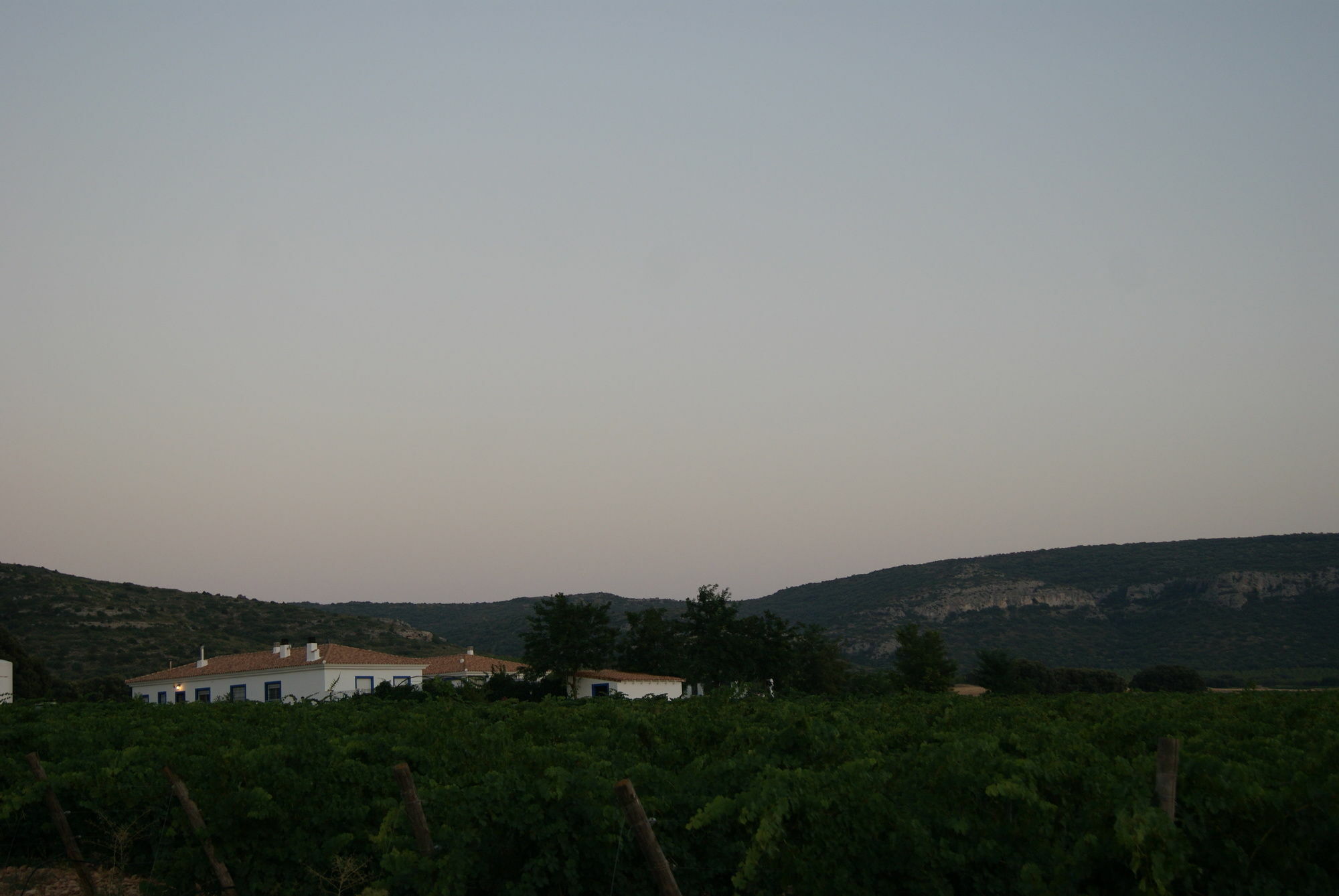 Finca El Romeral Alpera Екстер'єр фото